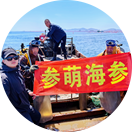 质量保证