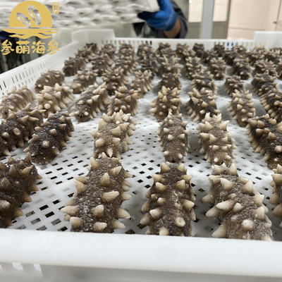 即食海参系列